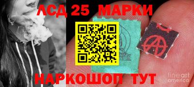 стафф Кандалакша