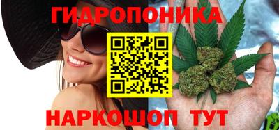 хмурый Канаш