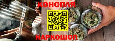 трава Камышлов