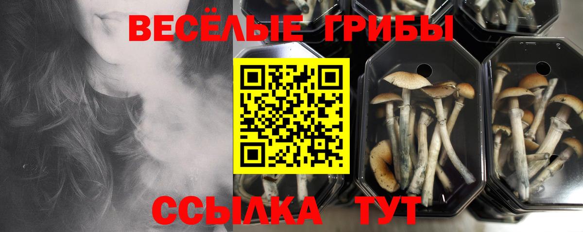 Бирск  Псилоцибиновые грибы Magic Shrooms  Псилоцибиновые грибы прущие грибы  Вход с VPN 